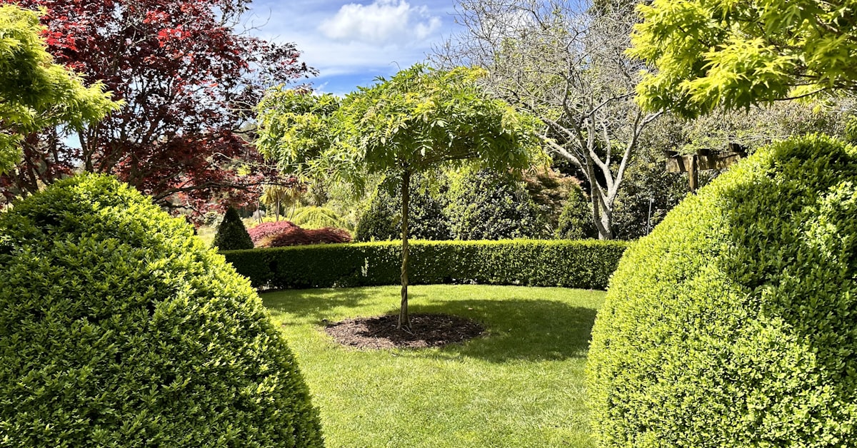Tree Service