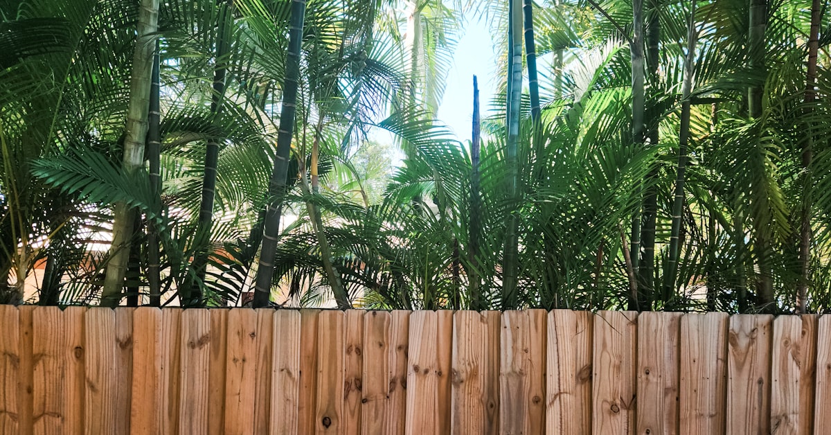 DFW Fence Pro LLC project photo