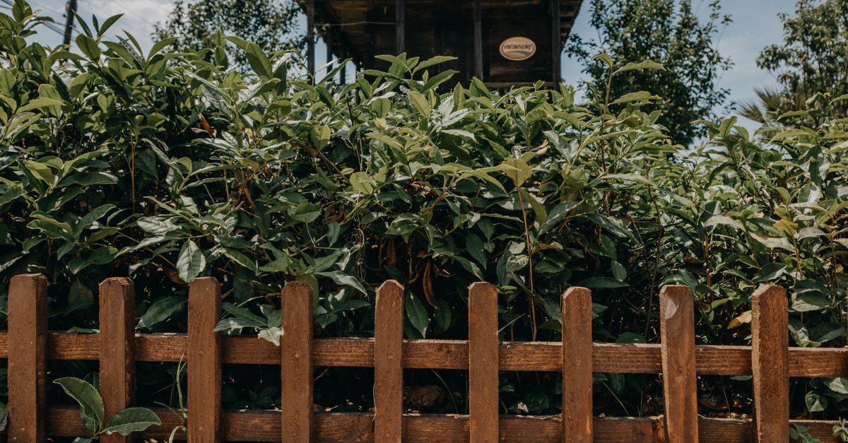Integrity Fencing Company project photo