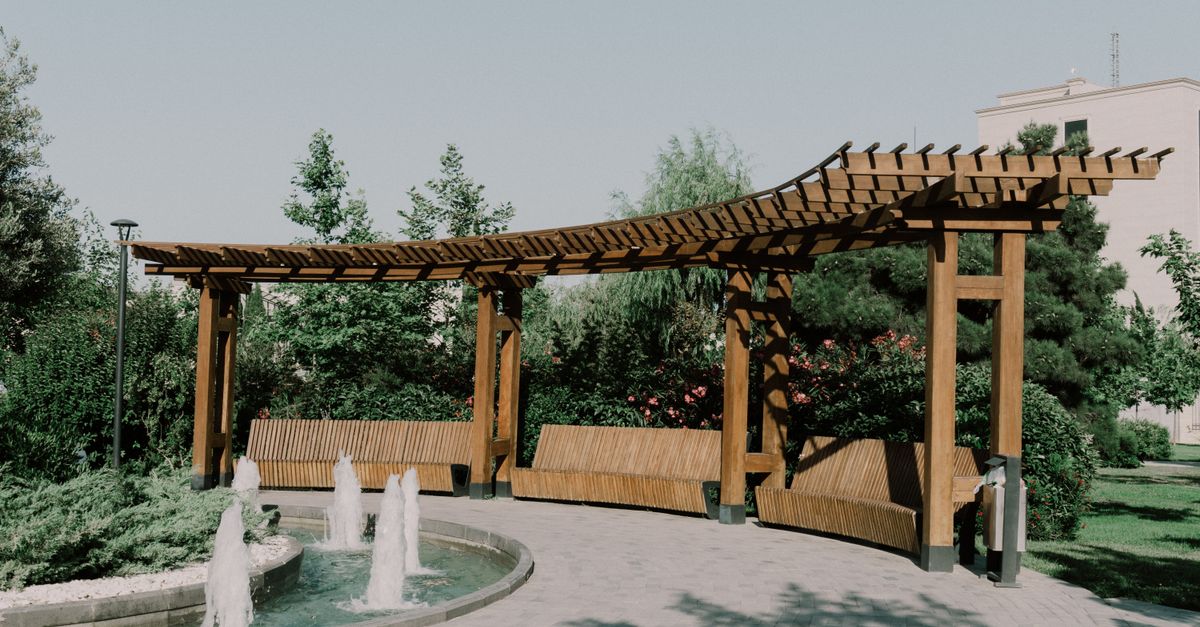 Lasso Works Cedar project photo