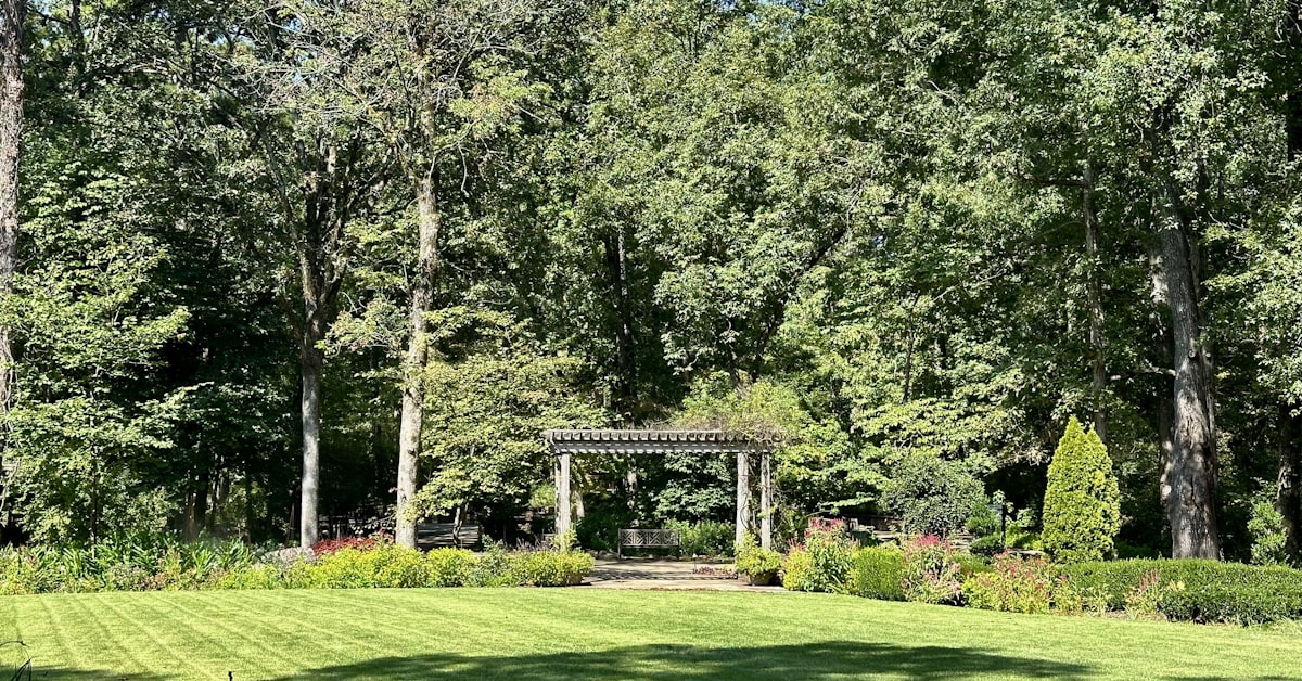 Monster Tree Service of Knoxville project photo