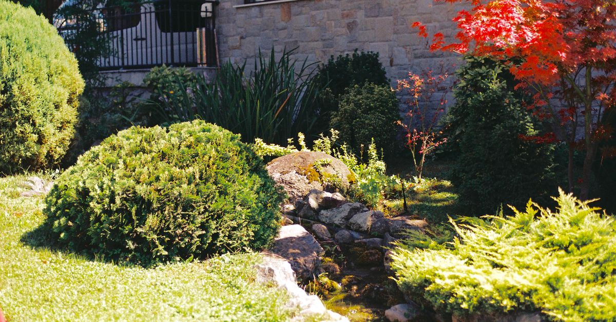 Nature Works Landscapes Services project photo