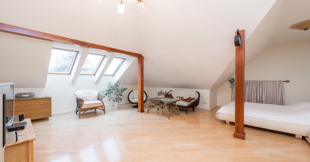 Attic Cleaning