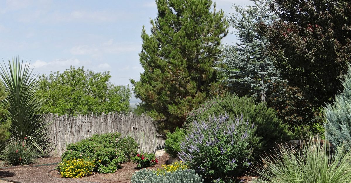 Riverview Landscapes project photo