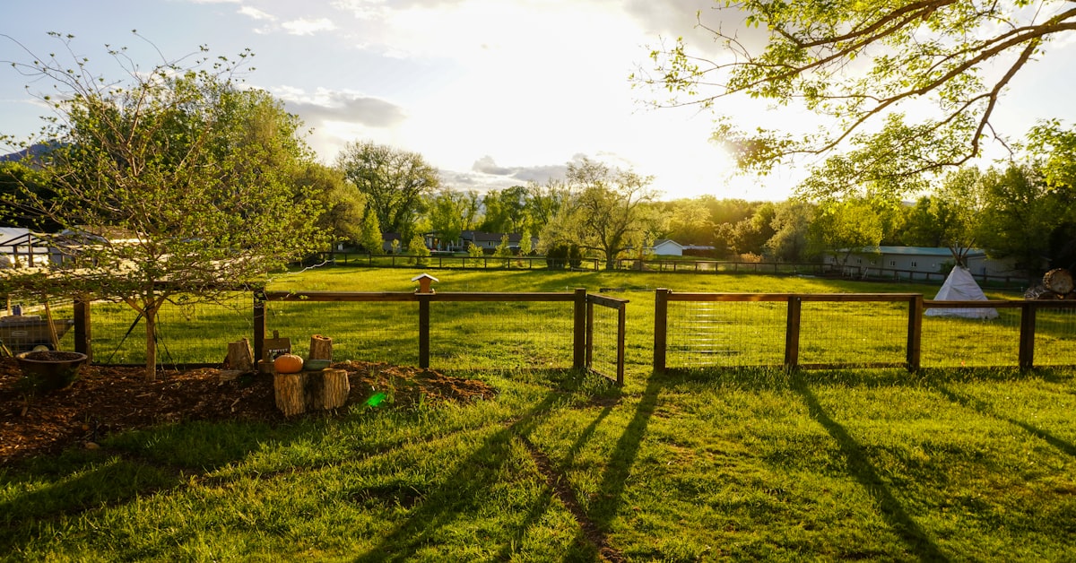 Sierra Fence project photo