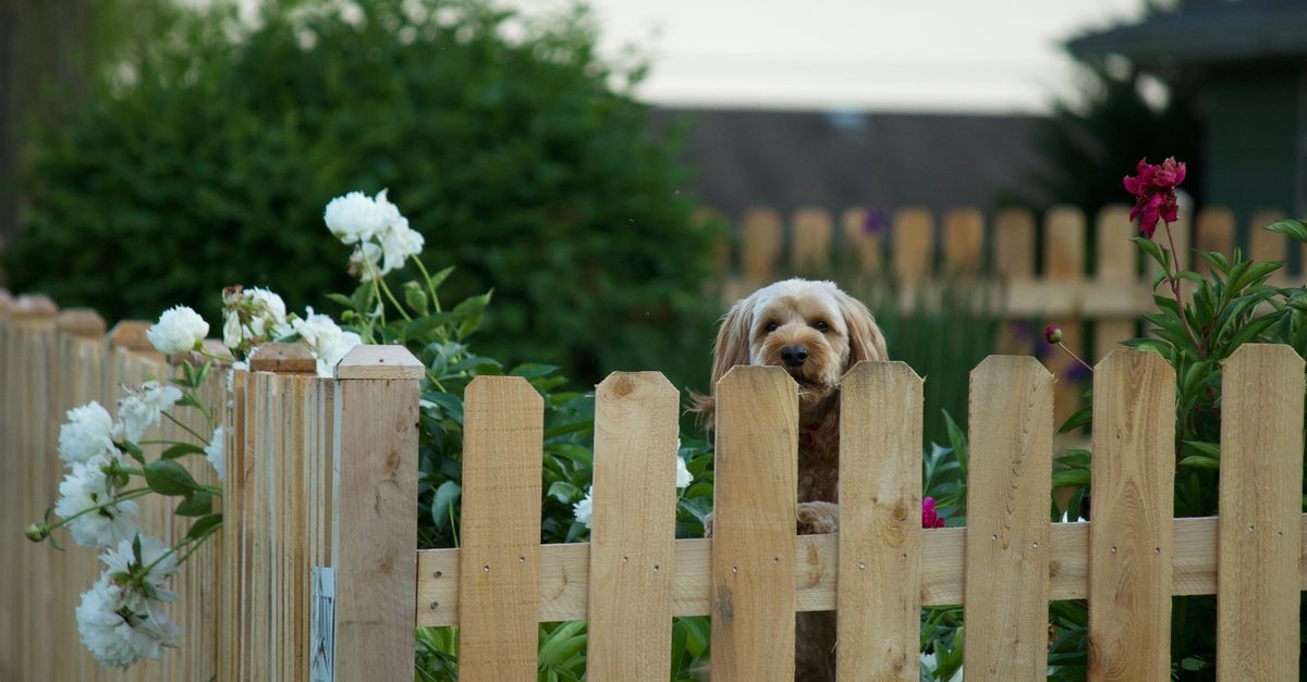 Southland Fence & Supply project photo