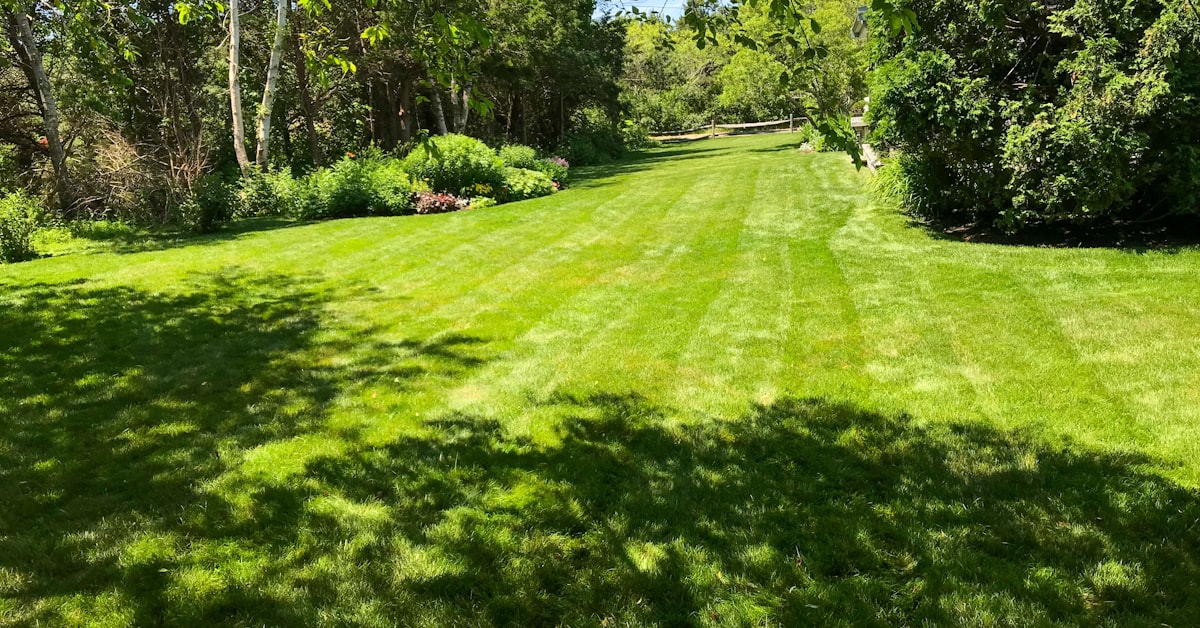 Stay Green Turf project photo