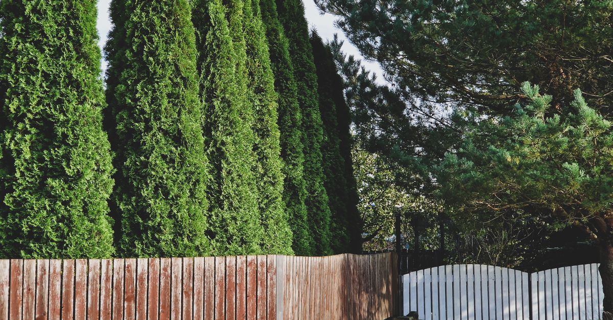Texas Fence Pro project photo