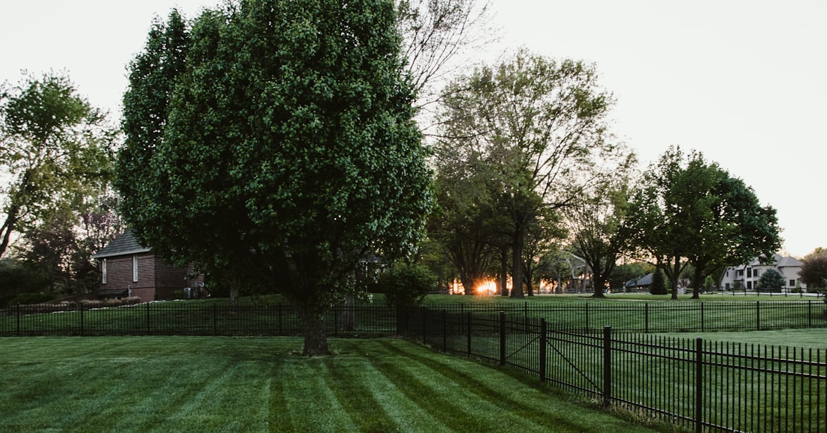 Turf Guy, The project photo