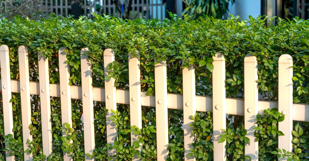 TX Vinyl Fencing project photo